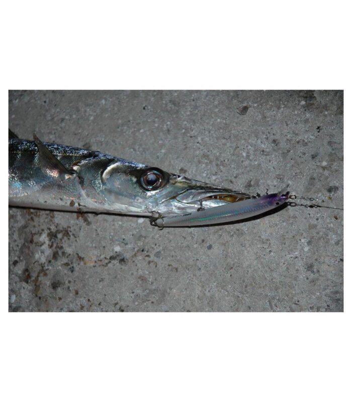 Τεχνητό Rapala Max Rap